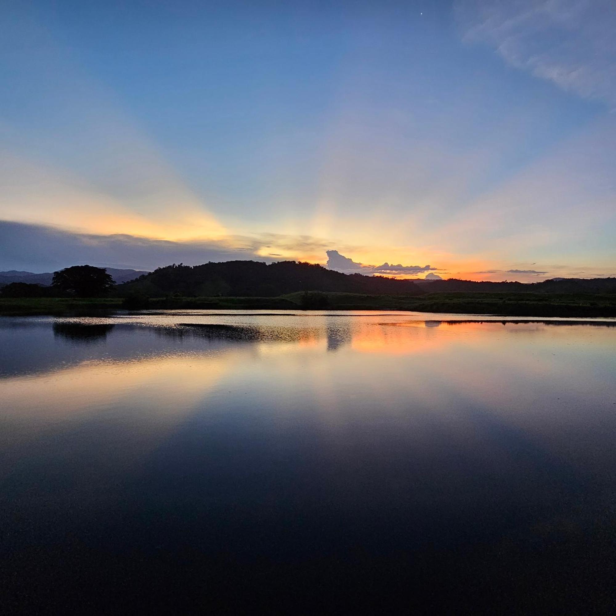 Daintree Riverview Lodges Экстерьер фото